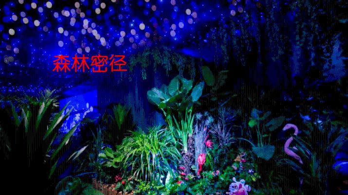 春雨直播app