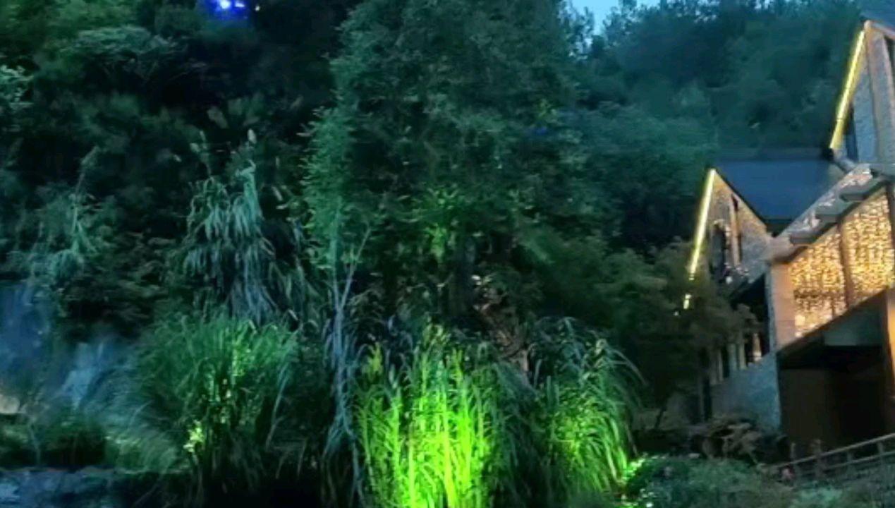 春雨直播app